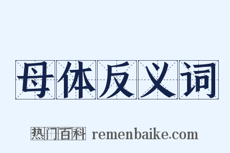 母体反义词是什么意思的图片